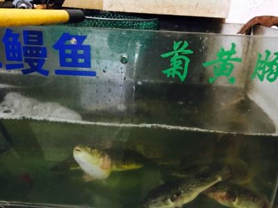 探寻扬中水果店的独特魅力