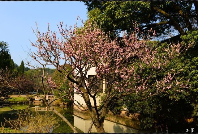 宍粟市播州山崎花菖蒲园攻略 宍粟市播州山崎花菖蒲园门票 游玩攻略 地址 图片 门票价格 携程攻略