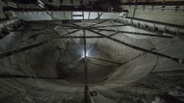 IMG_0516