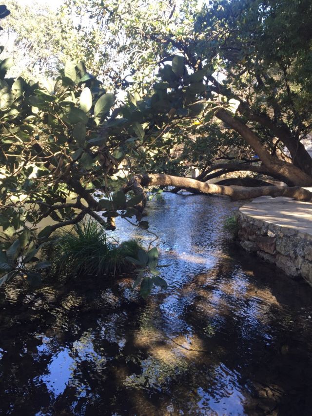 【携程攻略】白龙潭门票,剑川白龙潭攻略/地址/图片/门票价格