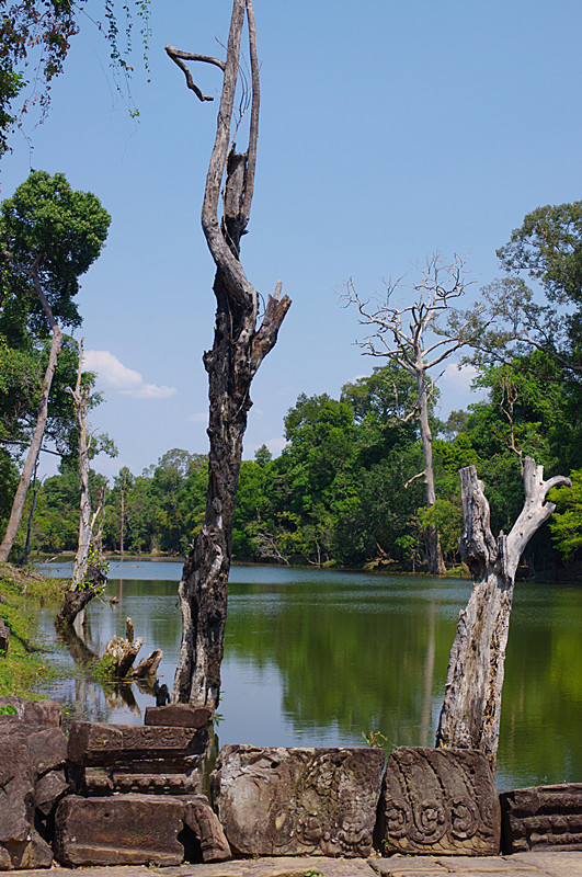 刺绣石雕 微笑高棉 虚实空间 留白人生 领悟废墟