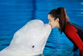 亚特兰失落的空间水族馆+猴岛公园一日游【2-8人小团含门票】【萌哒哒的南湾猴岛：家庭亲子游的理想选择；】