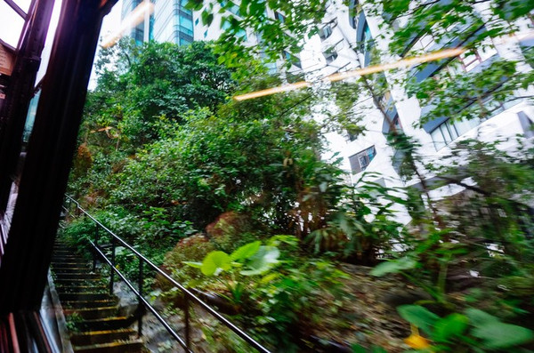 蘭芳園茶餐廳(中環) 山頂凌霄閣 山頂郵局可以自己蓋紀念印章,從這裡