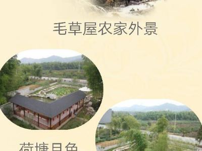开云体育- 开云体育官方网站- 开云体育APP 最新2025兴化村民办特色旅游农家乐走上致富路