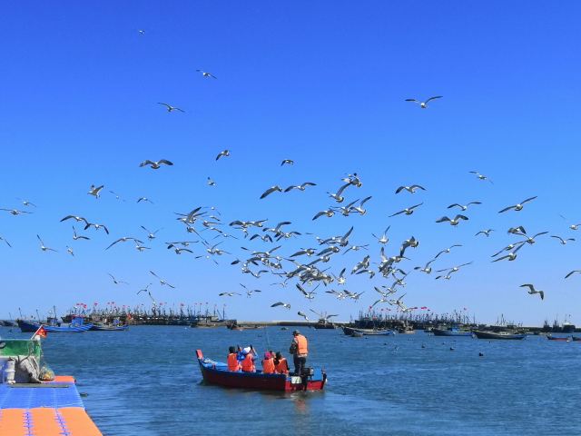 大连金石滩喂海鸥海上垂钓攻略,大连金石滩喂海鸥海上垂钓门票/游玩