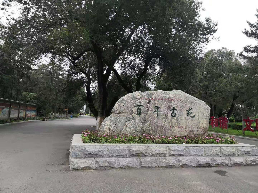 龙沙公园路线图图片