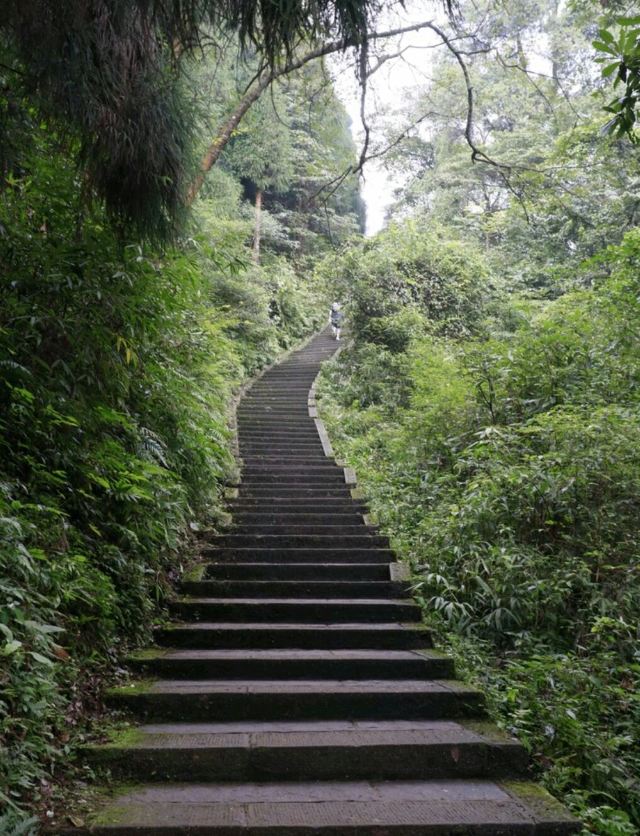 峨眉山九十九道拐攻略,峨眉山九十九道拐门票/游玩攻略/地址/图片/门