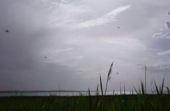 100u060000001kl698754_C_350_230.jpg