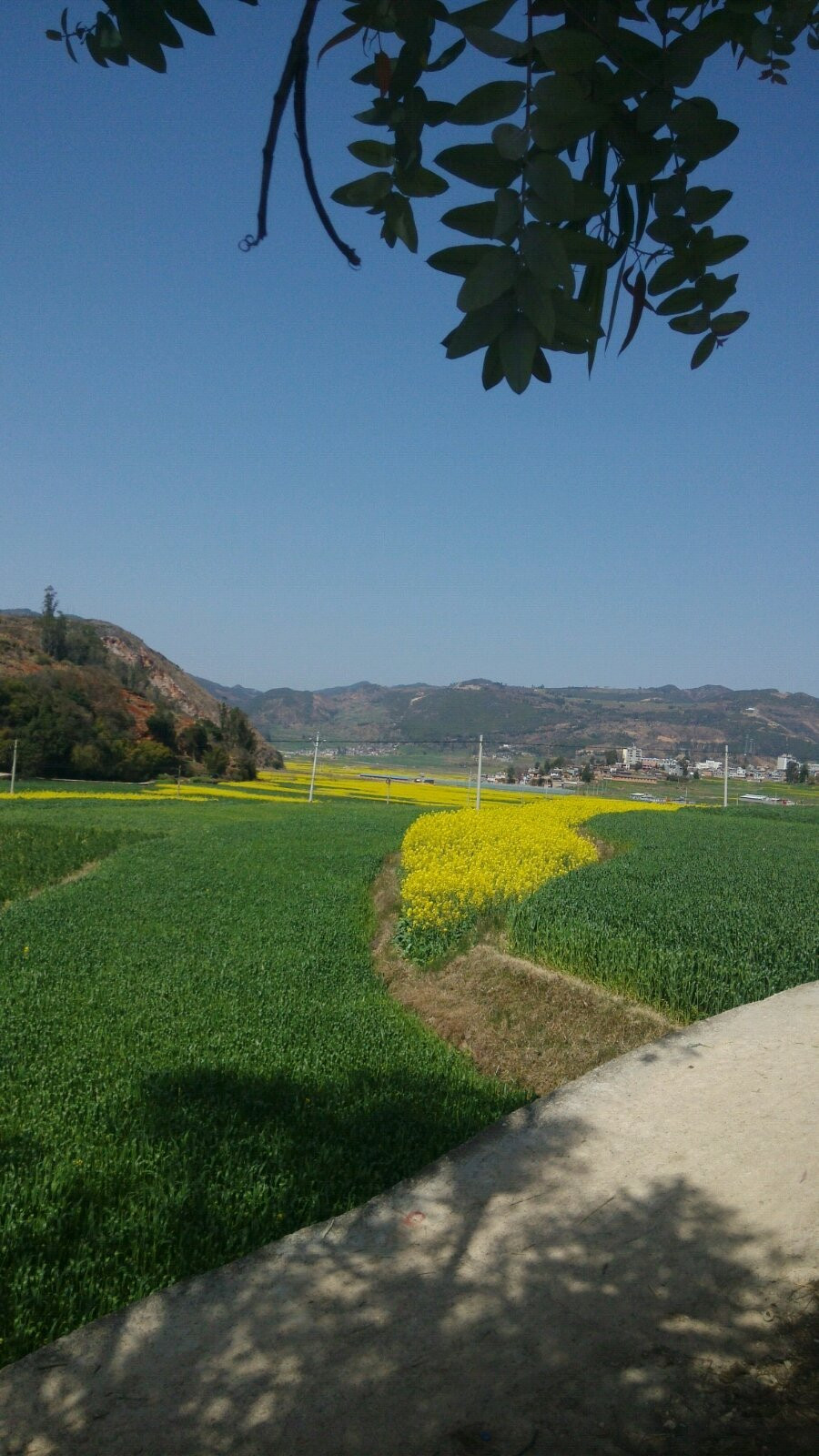 祿勸翠華鄉峽谷野溫泉露營