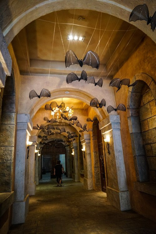 城堡内隧道,蝙蝠在头顶飘浮.