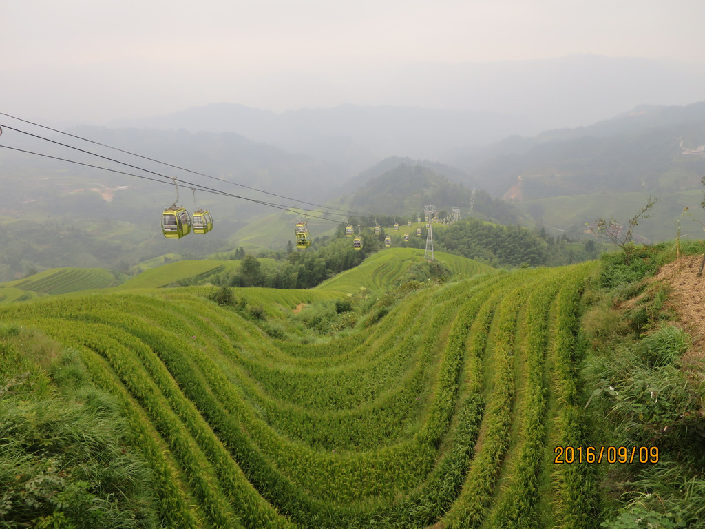 龍脊梯田