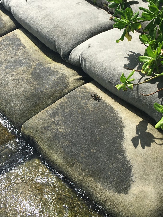 蜜月之旅 奥露+鲁滨逊 跳岛游 - 鲁滨逊岛游记攻