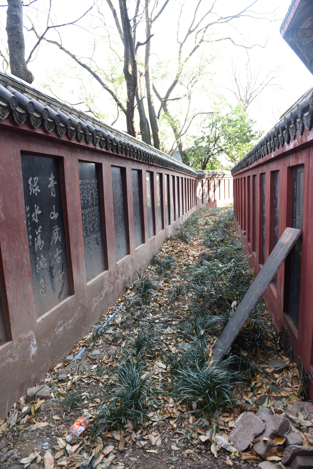 光福寺內景:地震碑林.全國四大碑林之一.