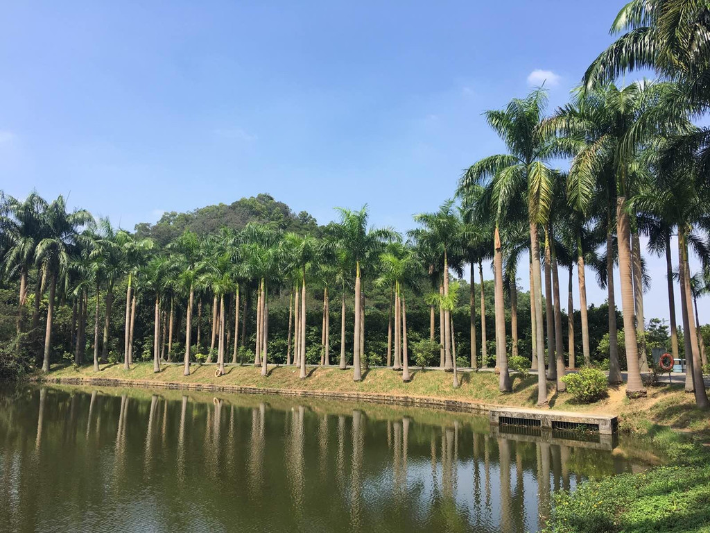 番禺大夫山森林公園