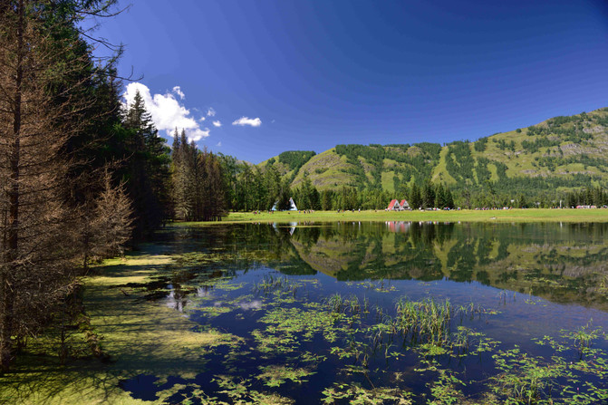 2016北疆喀纳斯8日自驾游最佳路线推荐 - 哈巴