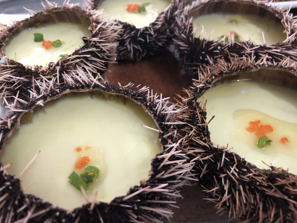 两个小疯狂的三亚难忘之行