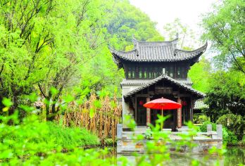 婺源风景区【婺源东线  散拼团/2-8人自由选择】【江湾景区+李坑景区+汪口+上下晓起或江岭景区一日游纯玩无购物，把时间都留给美景！】
