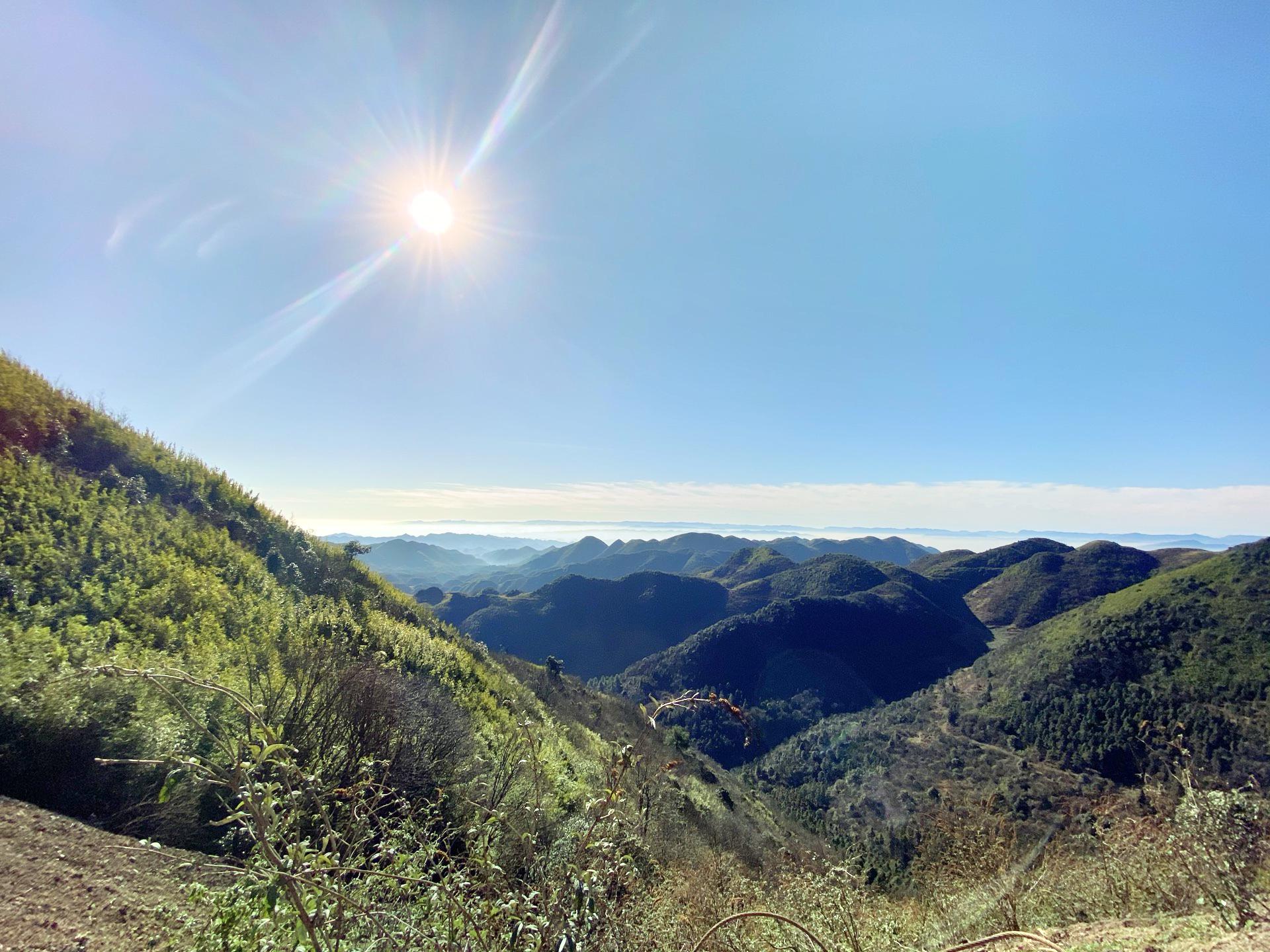 龙昌坪大山