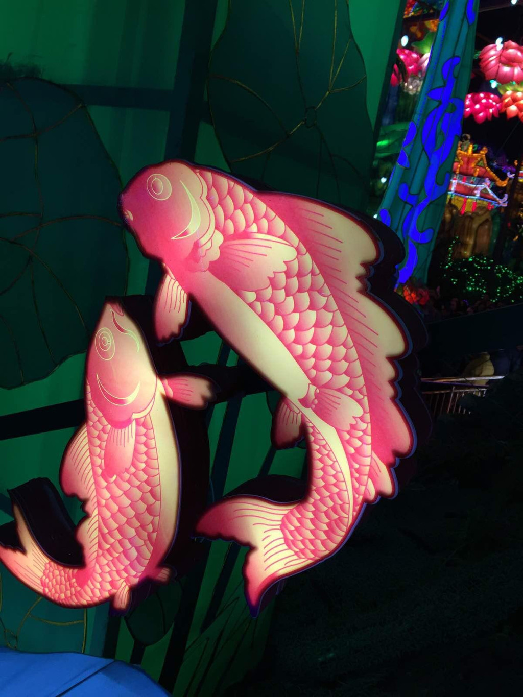 最美的感觉是在路上(17年春节云南游)