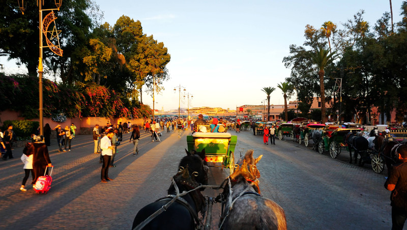 摩洛哥+突尼斯两国深度12天 游记(小田木作品