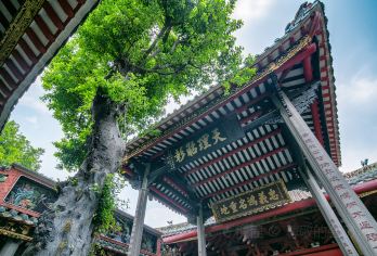 广东佛山千灯湖+祖庙+南风古灶一日游【独立包车+上门接送】【[纯玩包车]包车出行，按车报价，行程独立自由，时间随心，睡到自然醒！】