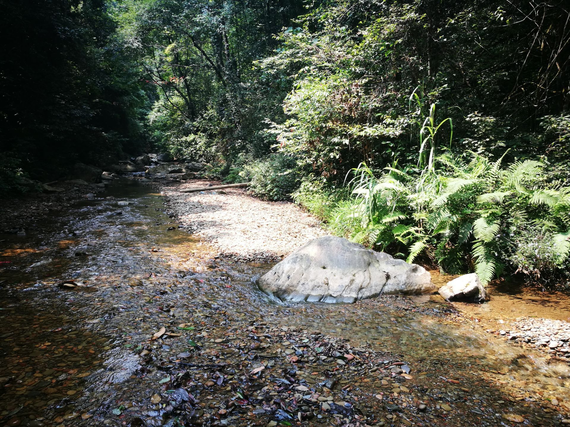 瑶人山森林公园