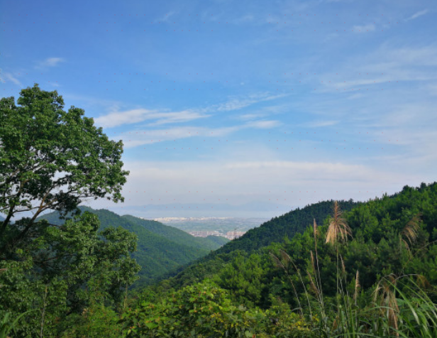 瞻歧大岭