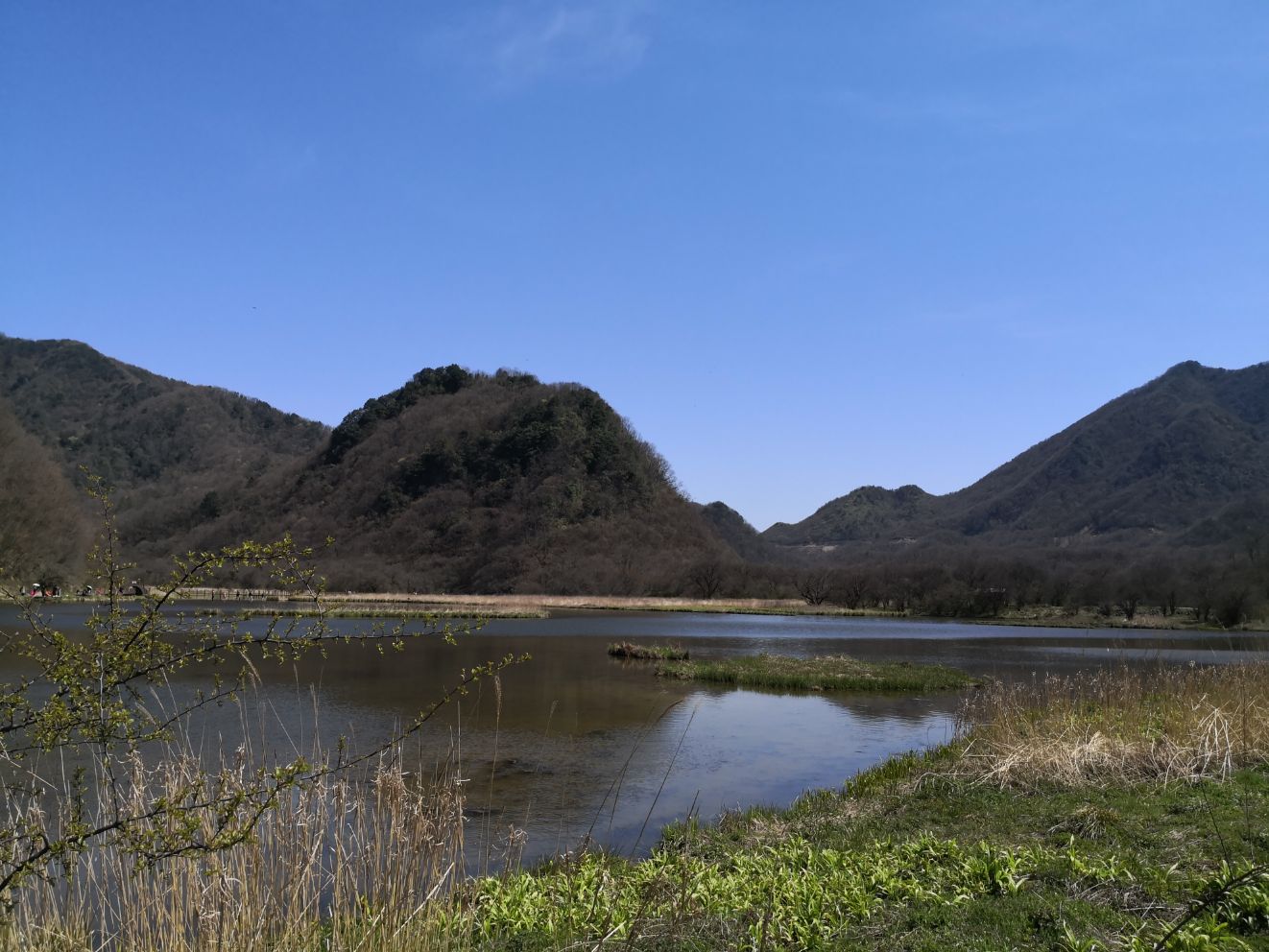 神农架林区神农架大九湖国家湿地...