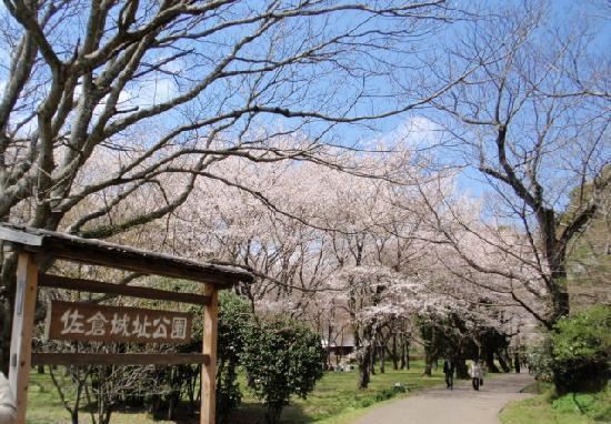 佐仓城址公园