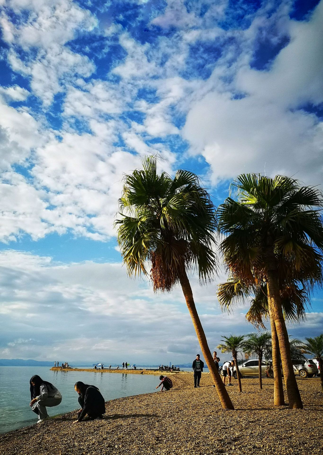 海晏村