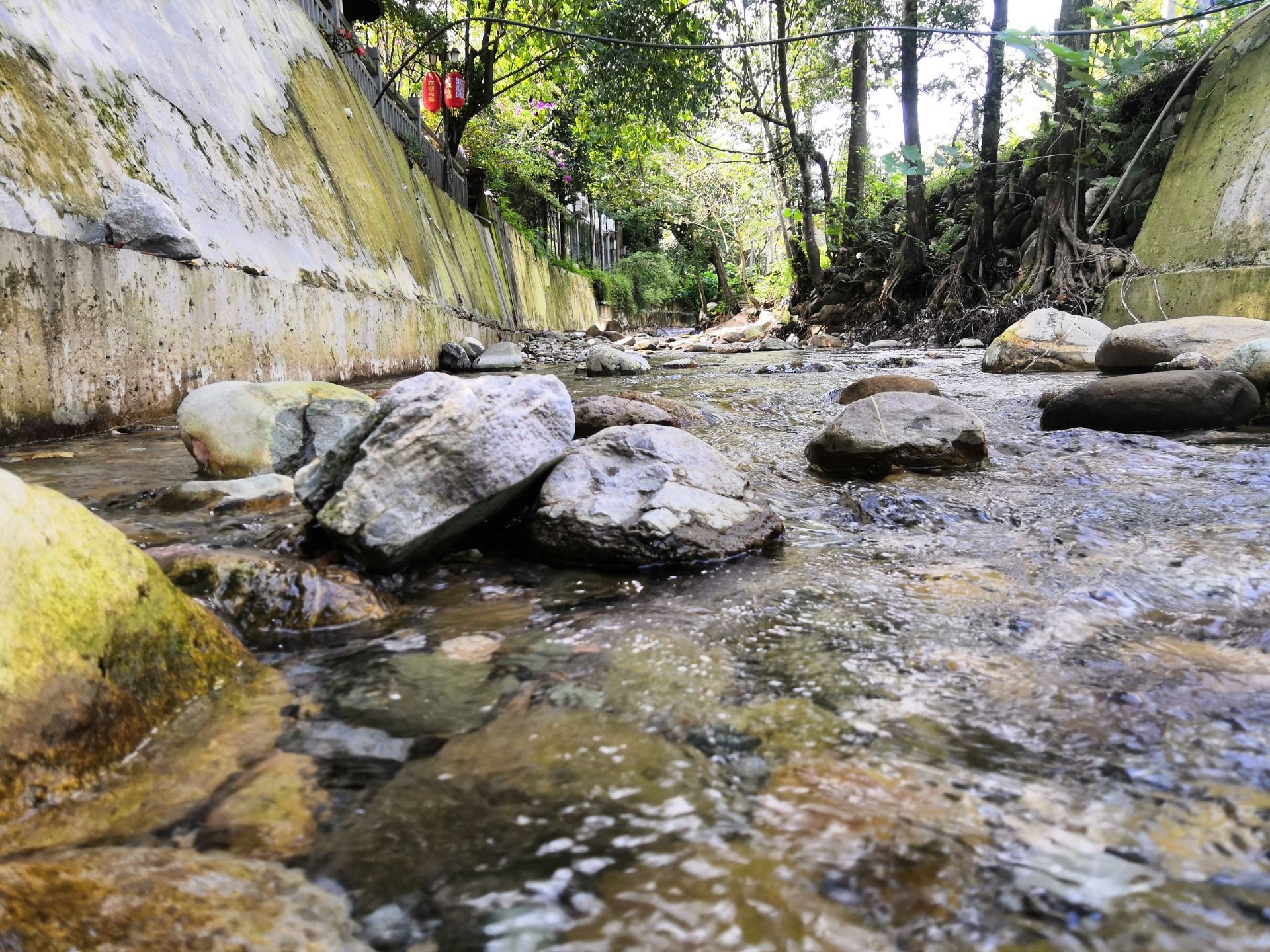 都江堰燕子岩森林生态观光园