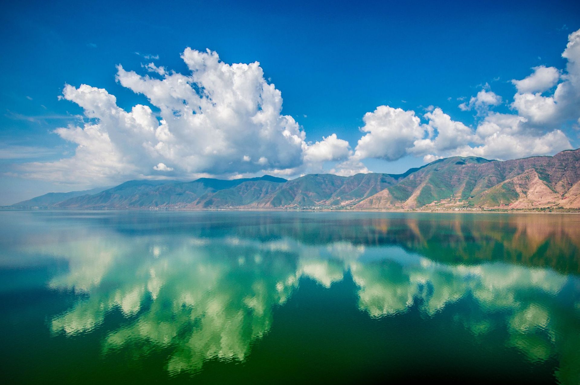 程海湿地