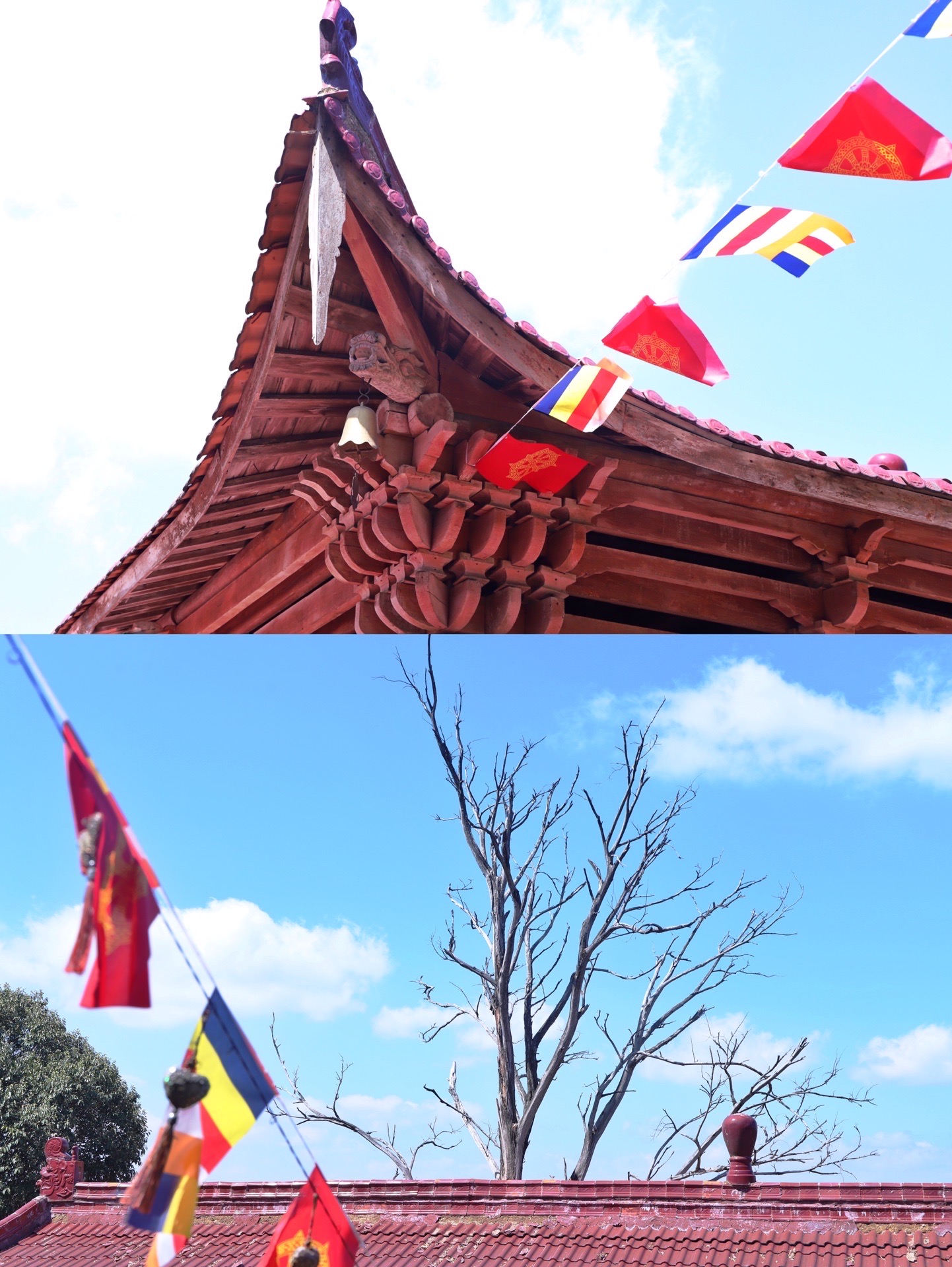 均峰山自然保护区