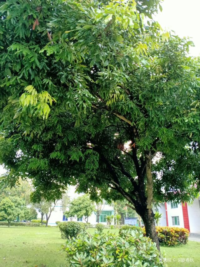 企石镇江滨公园