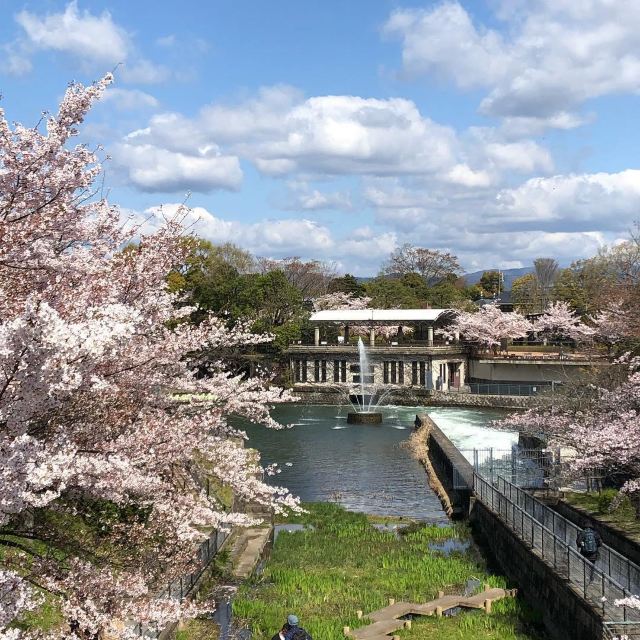 草津市琵琶湖博物馆攻略,草津市琵琶湖博物馆门票/游玩攻略/地址/图片
