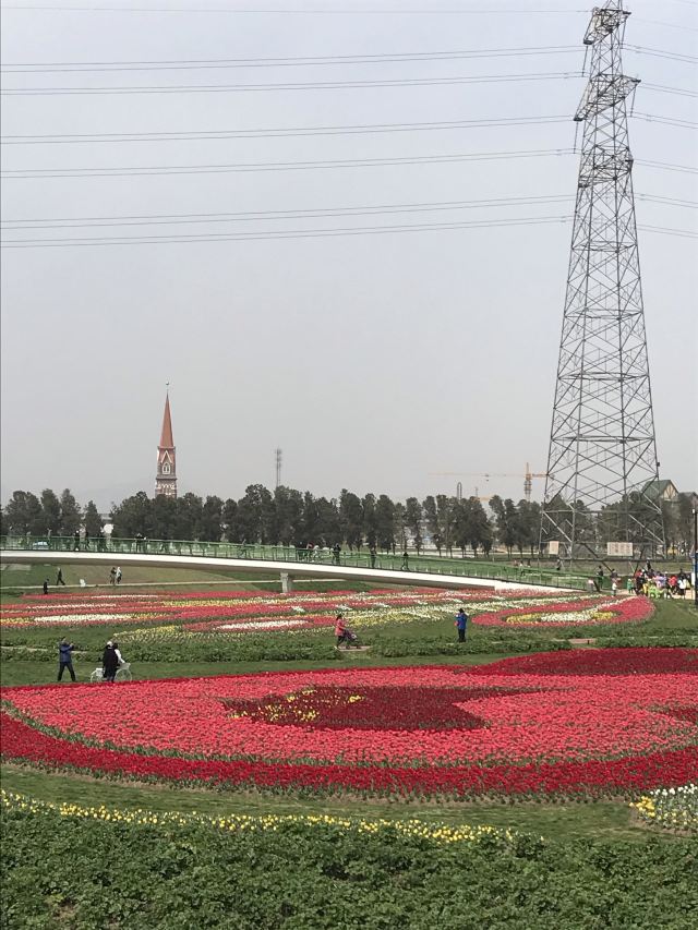 連雲港伊甸園攻略,連雲港伊甸園門票/遊玩攻略/地址/圖片/門票價格