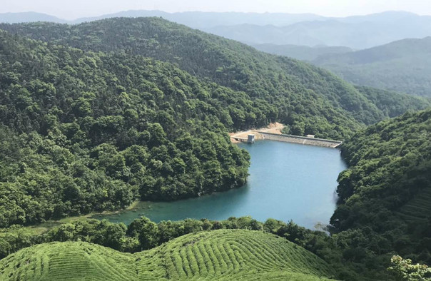 東錢湖福泉山景區