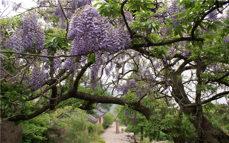 槎山风景区