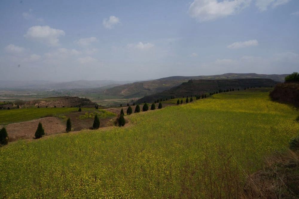  大堡子山秦公墓地