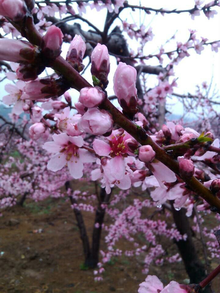 翦云山风景区