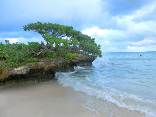 火山雨林大洋,每一天都是崭新的…青岛背包客夏威夷半月自由行(下)
