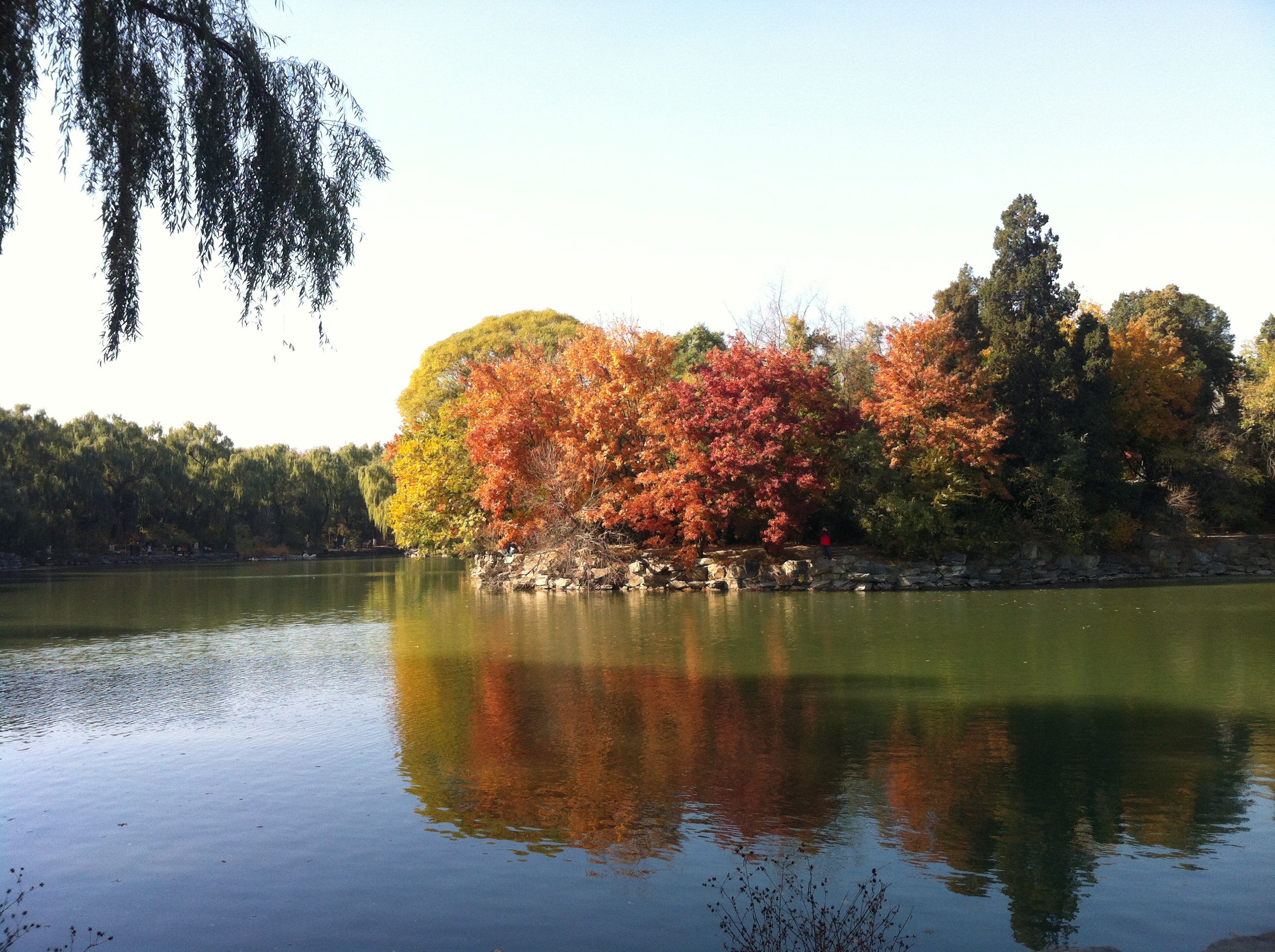 北大进修(北大校园 未名湖畔)