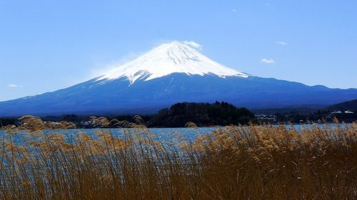 富士山五合目河口湖游览船一日游富士山全景空中缆车含缆车游船午餐
