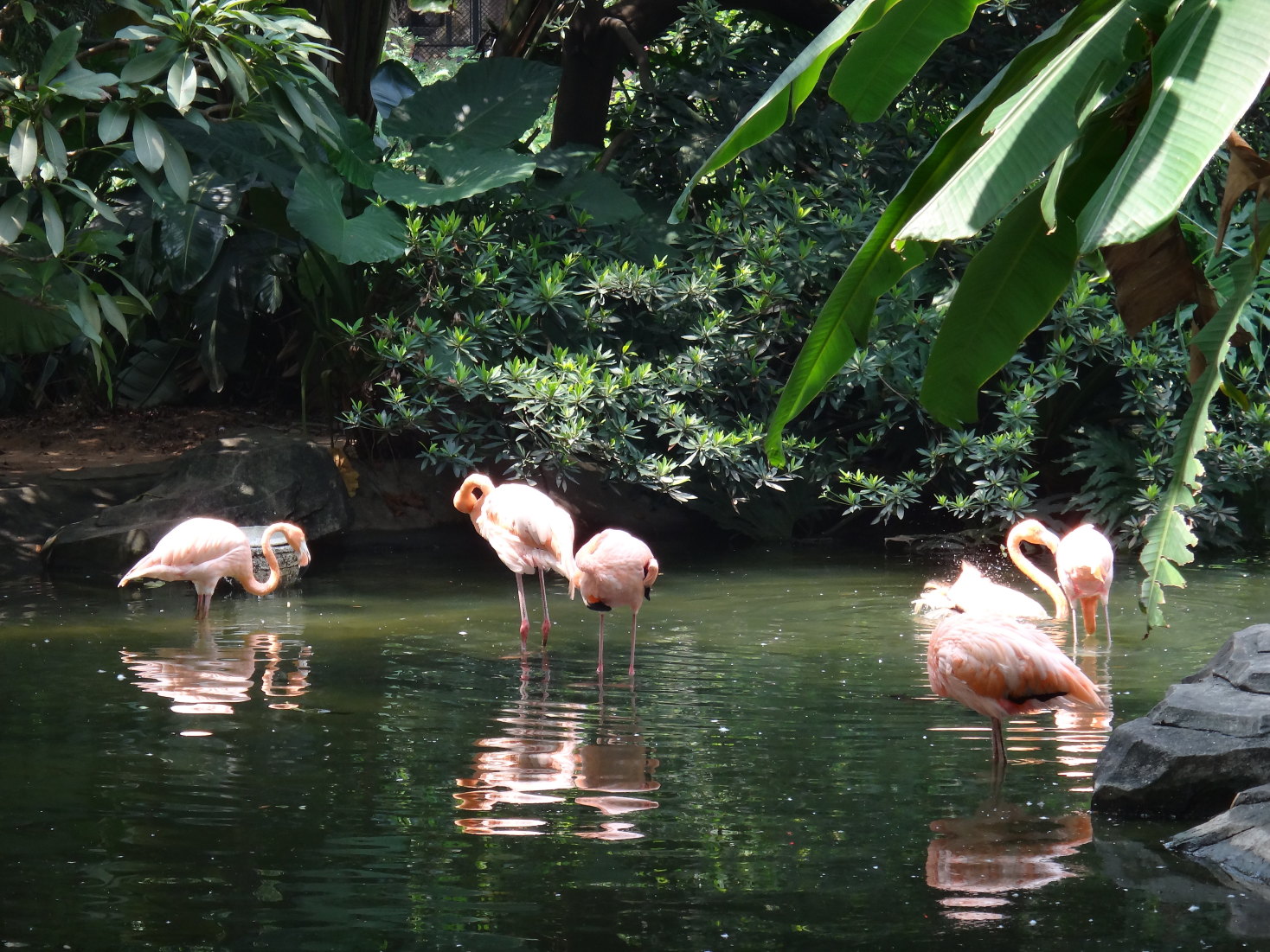广州动物园和海洋馆一日游