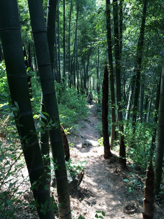 鸕鳥山