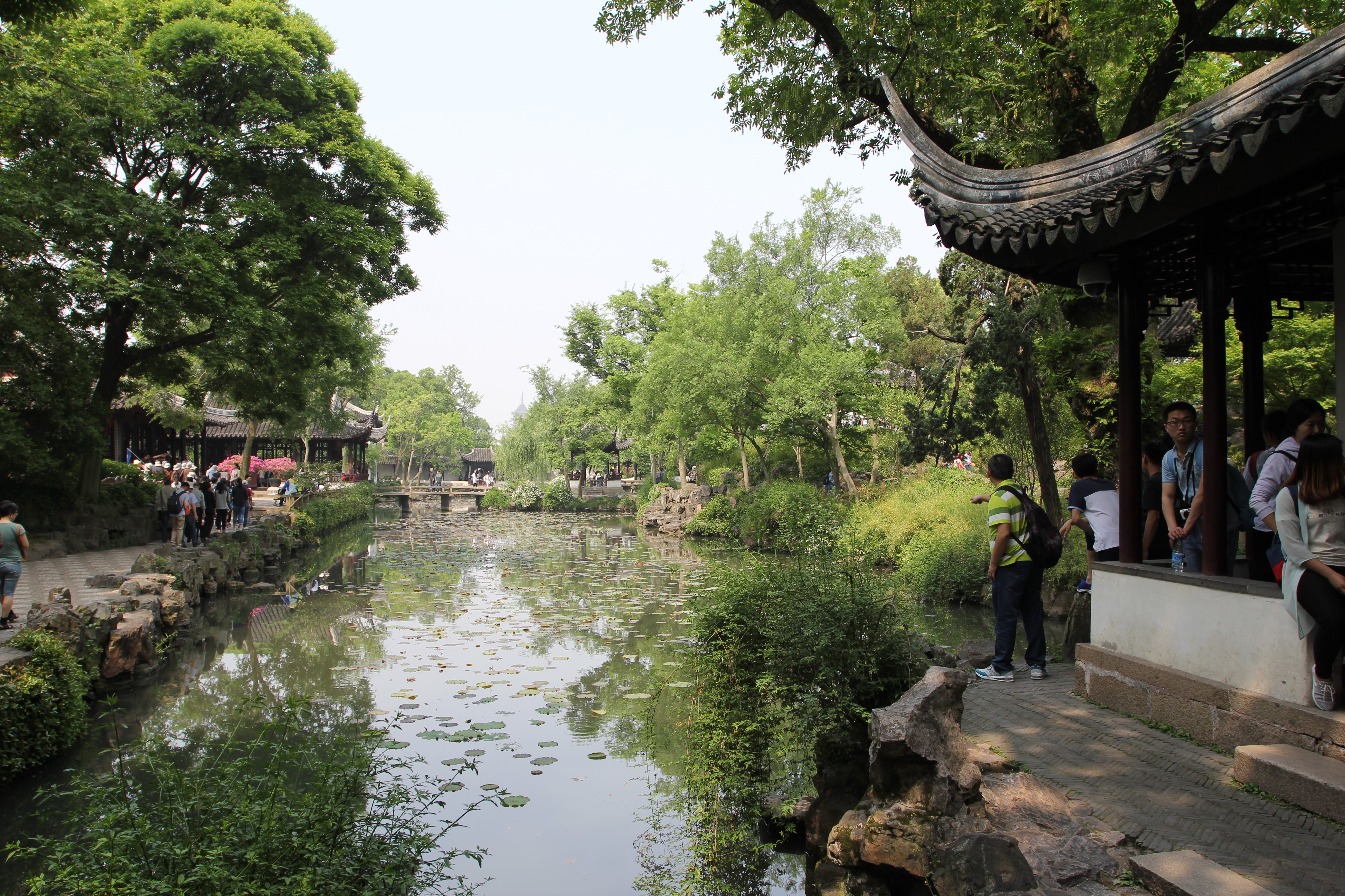 蕉葉半黃荷葉碧,兩家秋雨一家聲 拙政園 出拙政園向東就是蘇州