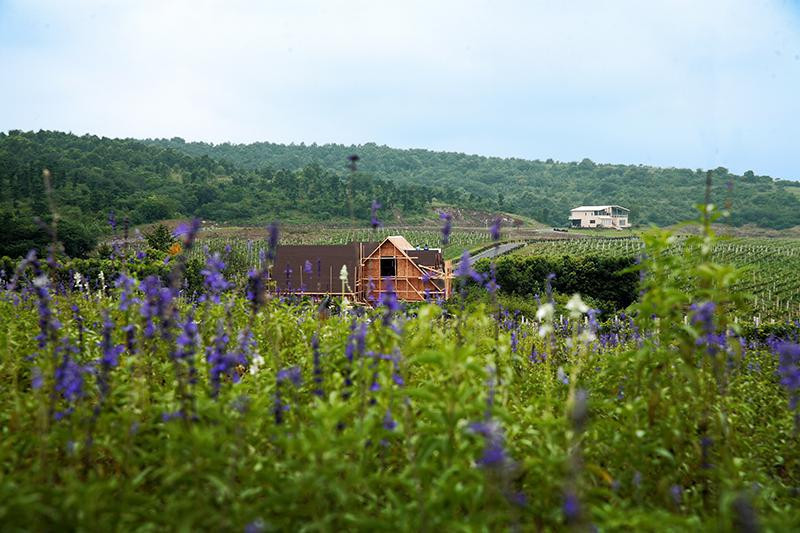 亲近自然 巴布洛一日游