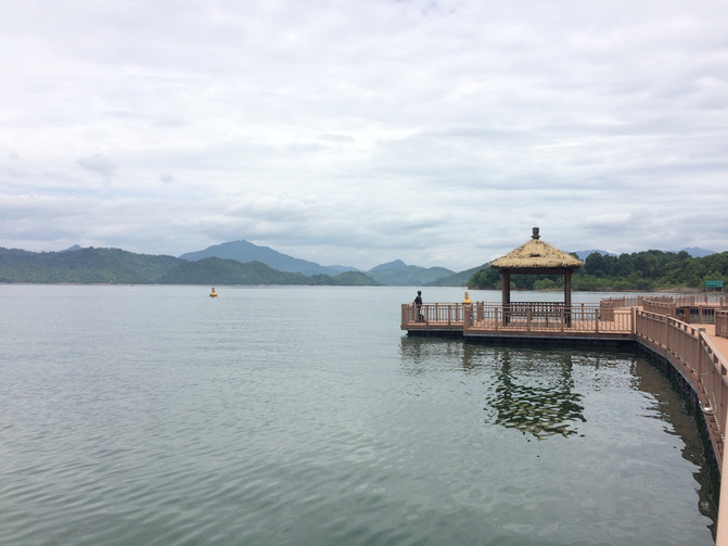 #上海东黄山旅游度假区##黄山区吴家坑茶场#