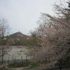 CghzgFU8PhuALpnOABUsl-sHdzA682_C_280_280.jpg