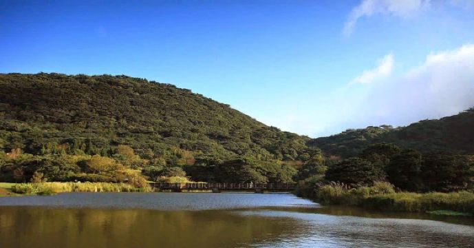 森林浴篇:大屯山自然公园